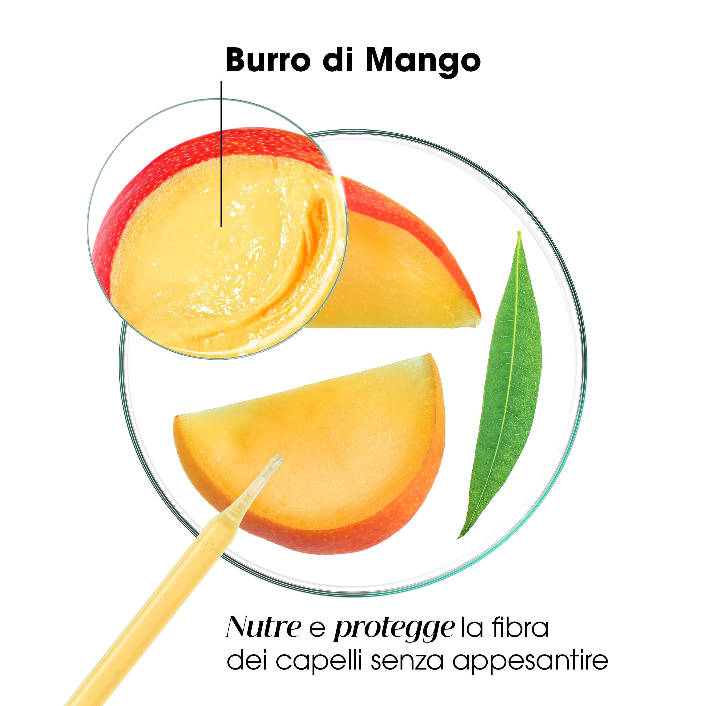 Klorane - Shampoo Nutritivo Al Mango Per Capelli Secchi 400 ml