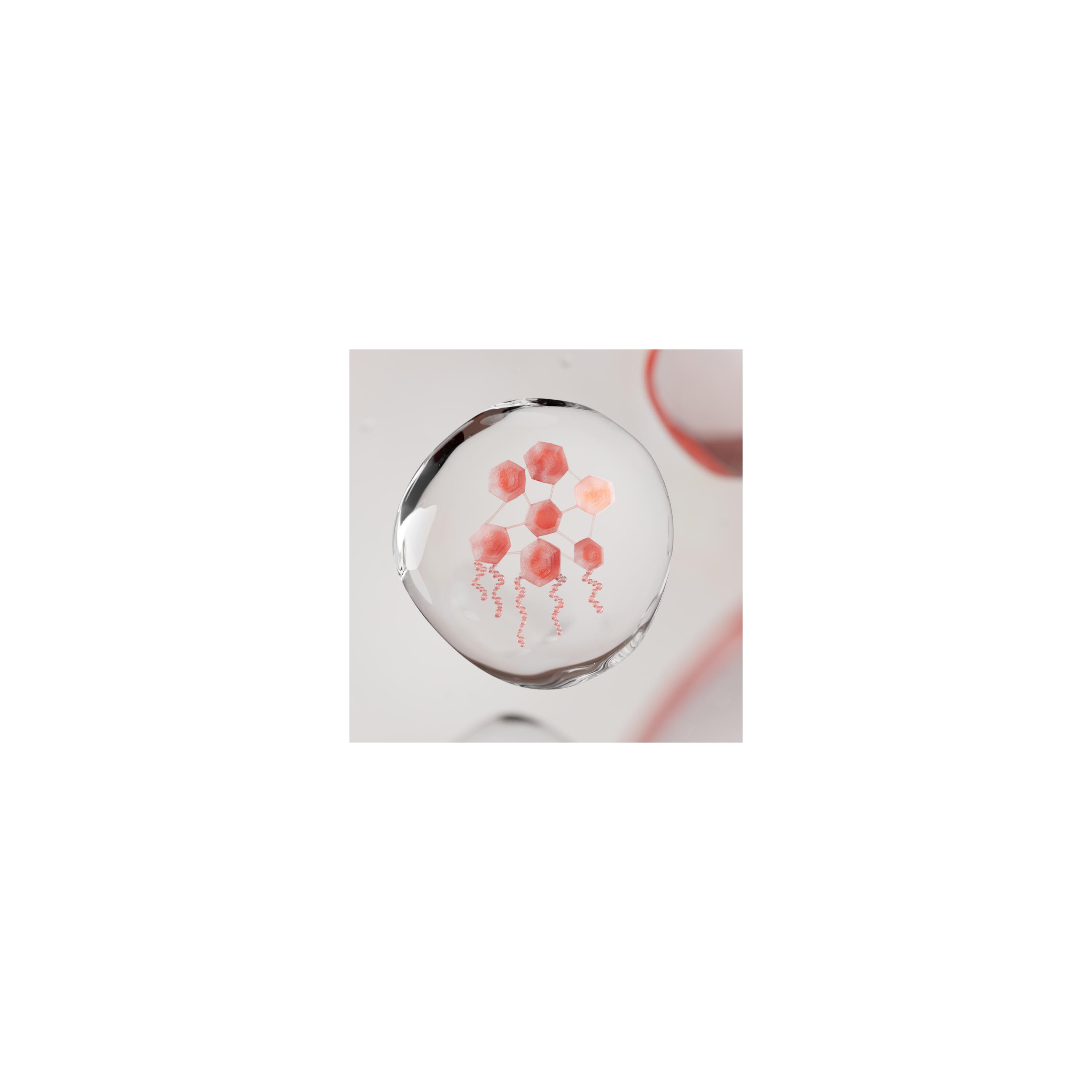 Avène Xeracalm AD - Concentrato Lenitivo Per Pelle Secca O Atopica 40 ml
