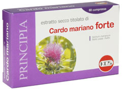 CARDO MARIANO FORTE 60CPR