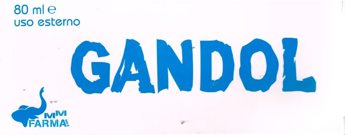 Gandol Pomata Antidolorifica 80 ml