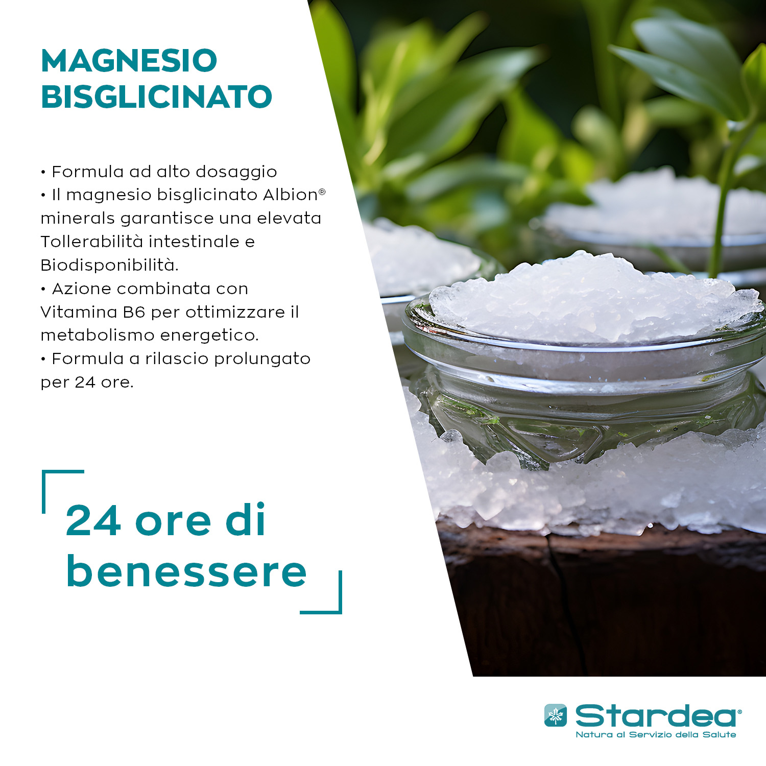 STARDEA MAGNESIO BISGLICINATO 360 - Compresse INTEGRATORE ALIMENTARE 