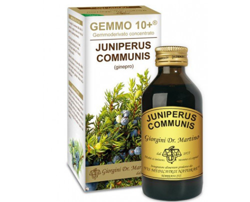 GINEPRO 100ML ANALCO GEMMO 10+