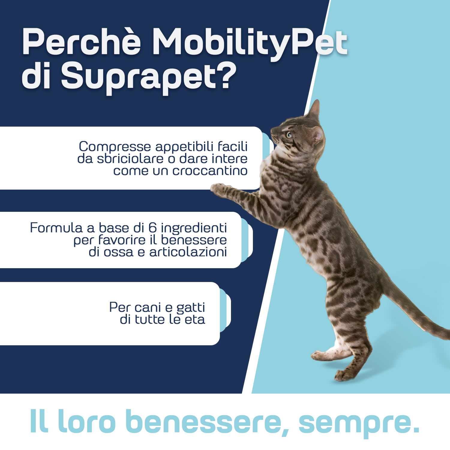 Suprapet mobilitypet 30 compresse