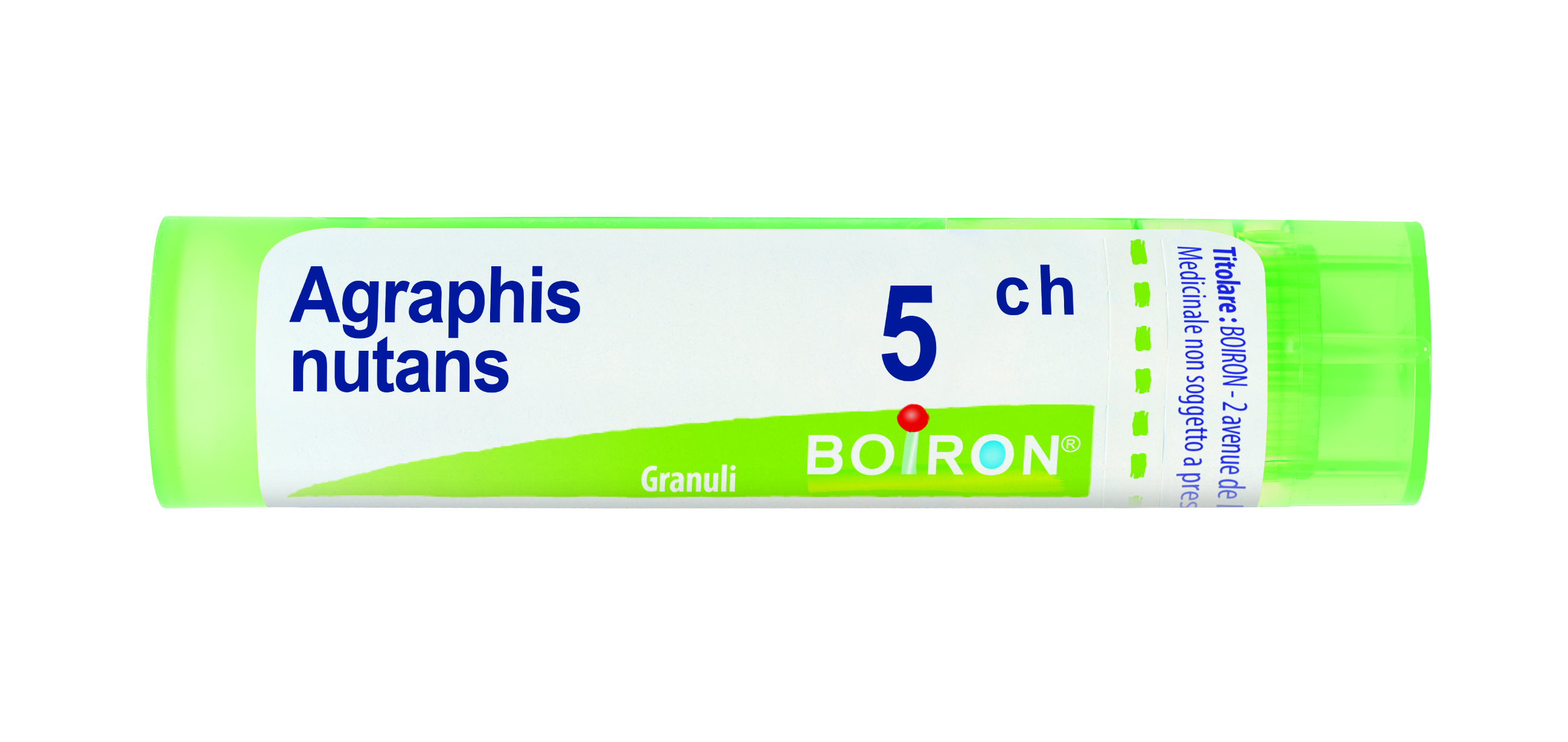 BO.AGRAPHIS NUTANS*5CH 80GR 4G