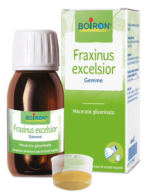 BO.FRAXINUS EXCELS MG 60ML INT