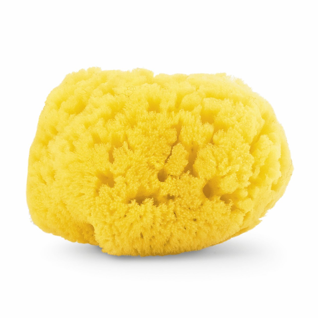 CH SPUGNA MEDIA IGIENE SICURA