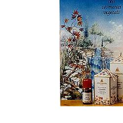 Specchiasol Olio Cosmetico Camomilla Lenitivo 100 ml