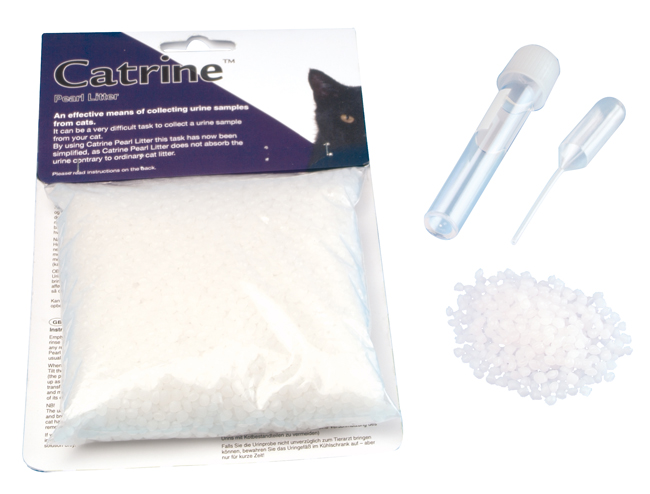 CATRINE ESAMI URINE GATTO