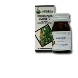 EQUISETO 60CPS 500MG