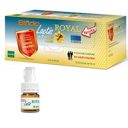 Bifidolactis Royal + Pappa Reale Integratore Intestinale 12 Flaconcini
