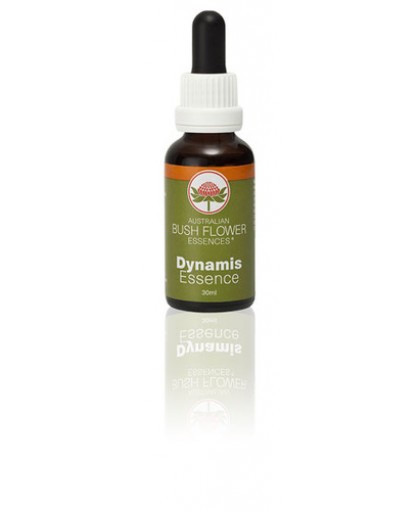 DYNAMIS 30ML