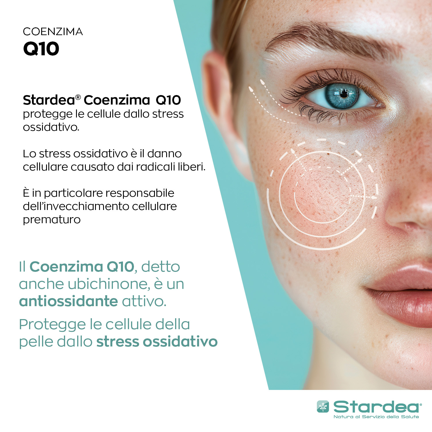 STARDEA COENZIMA Q10 - INTEGRATORE ALIMENTARE - 30 capsule vegetali - BELLEZZA DELLA PELLE
