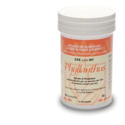 DAB 007 Phyllanthus 60 tavolette integratore