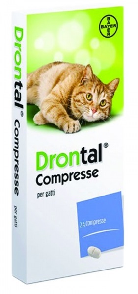 DRONTAL 24CPR GATTO