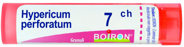 HYPERICUM PERFOR.Tubo  7CH