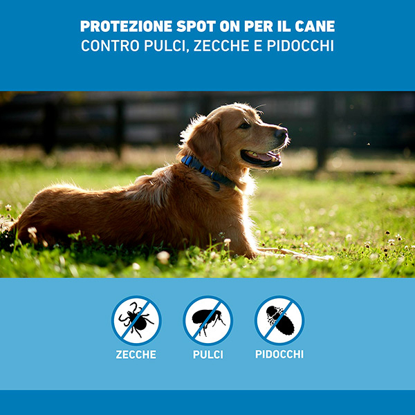 Frontline Spot On Cani x4 Pipette, Antiparassitario per Cani e Cuccioli (20-40Kg), Contro Pulci, Zecche E Pidocchi