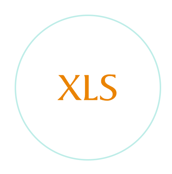 XLS__Logo_FS