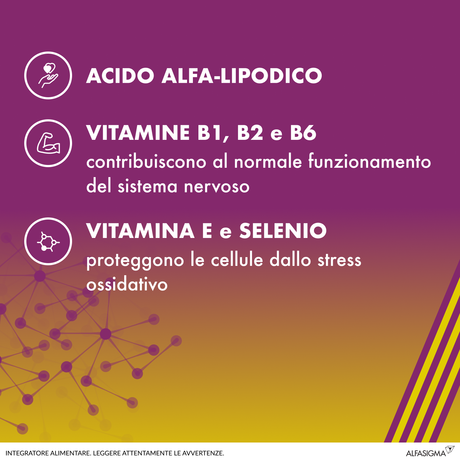 ALAnerv - 20 Capsule