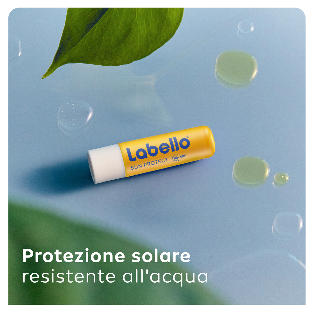 Labello Sun Protect SPF50 4.8 g, Burrocacao labbra idratante e protettivo con filtri UVA/UVB