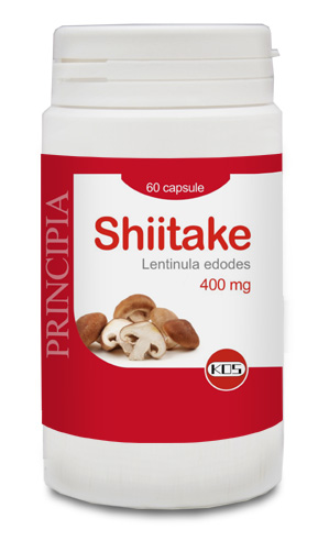 SHITAKE ES 400 MG 60CPS