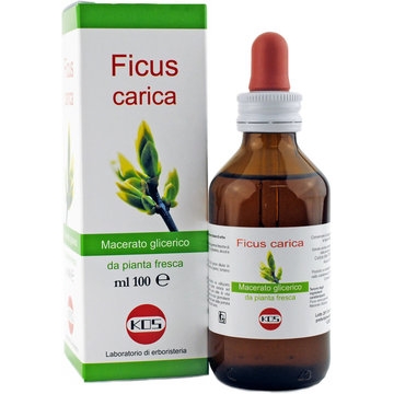 FICUS CARICA MG 100ML GOCCE