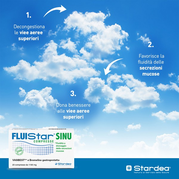 FLUISTAR SINU 20CPR