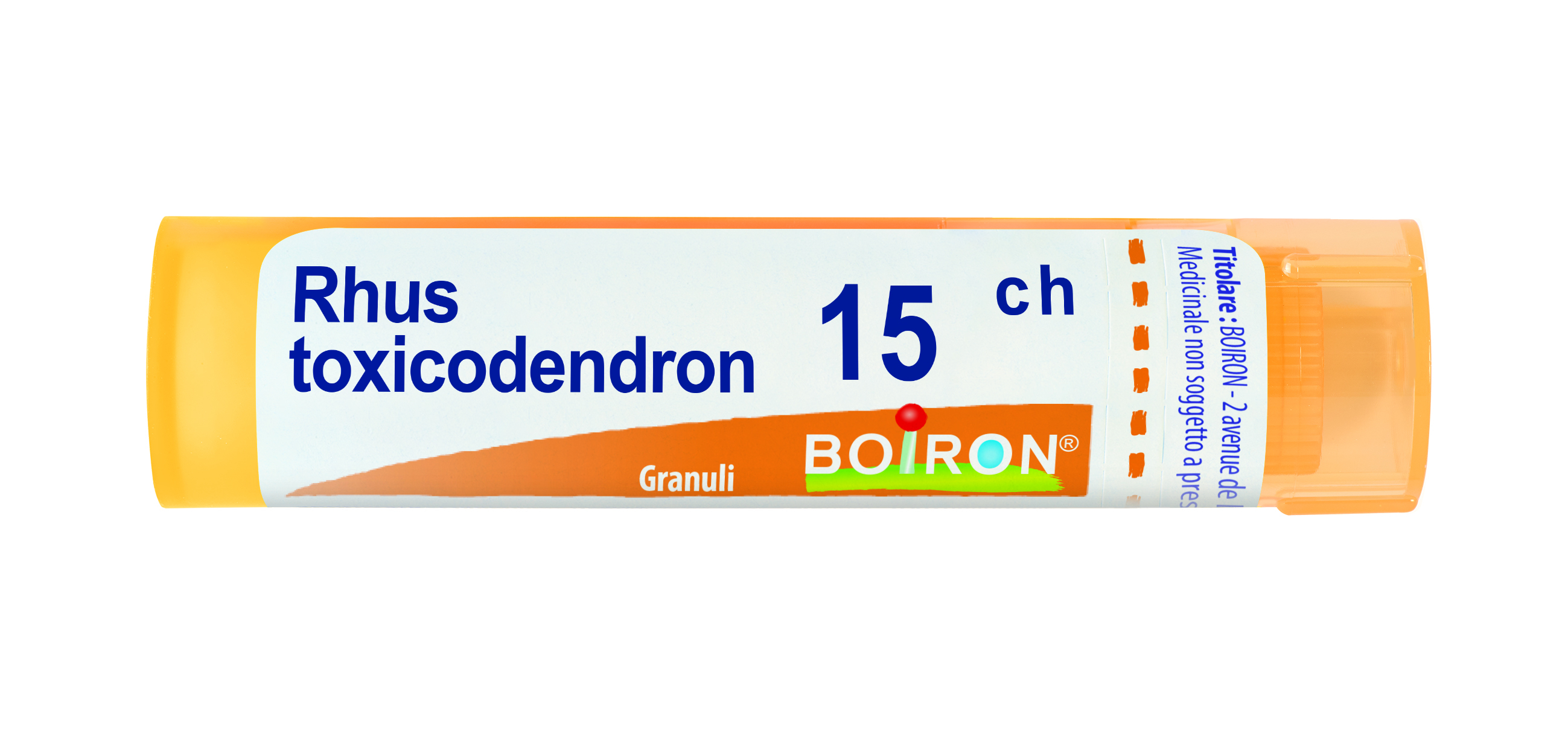 BO.RHUS TOX*15CH 80GR4G