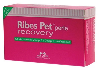 Nbn Lanes Ribes Pet Recovery Integratore Dermatite Cani E Gatti 60 Perle