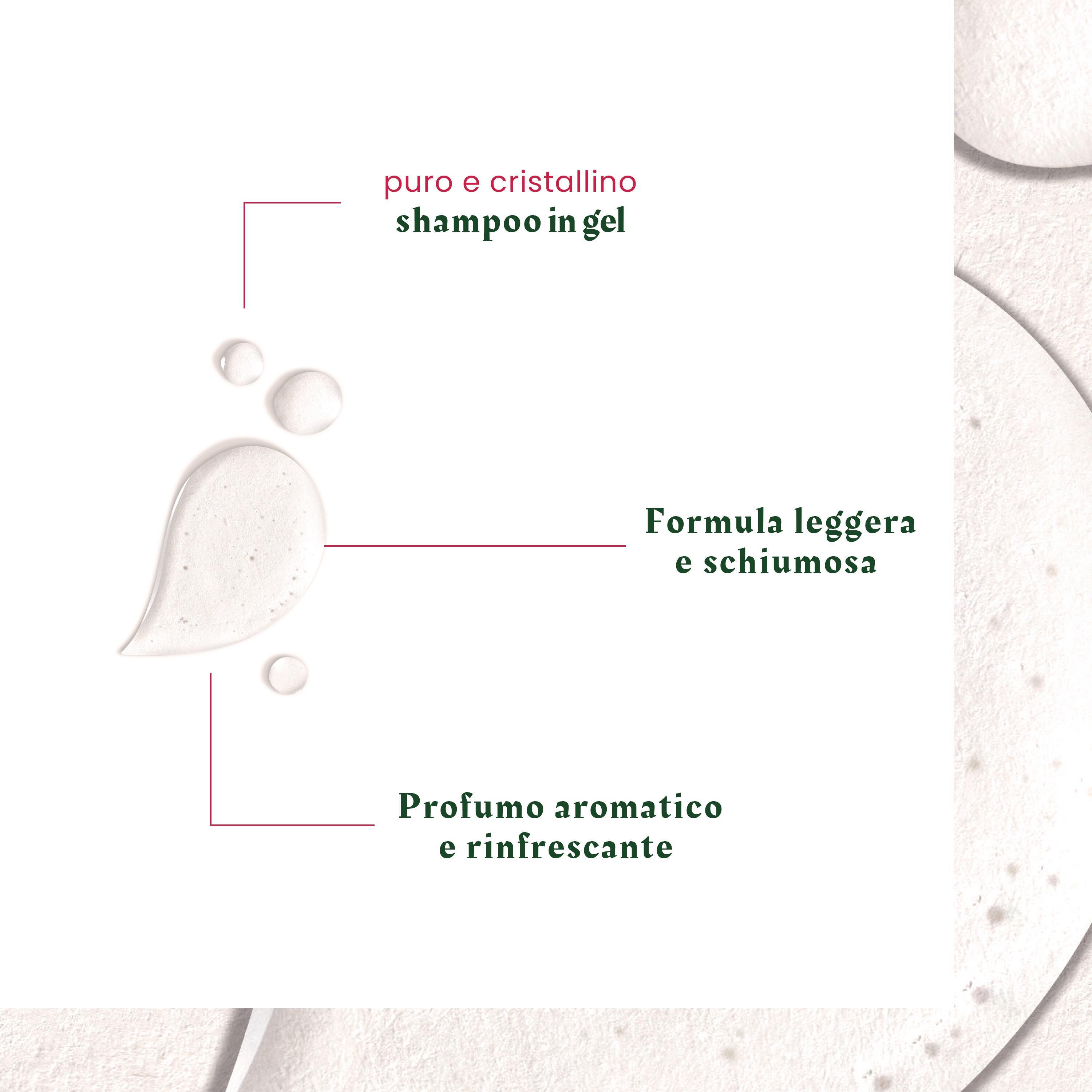 René Furterer Neopur - Shampoo Antiforfora Equilibrante Per Forfora Grassa 150 ml