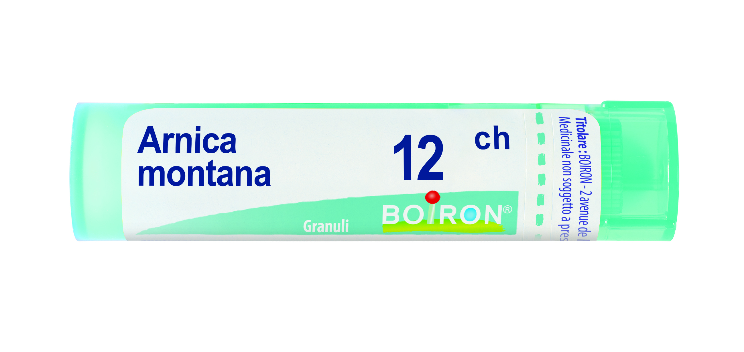 ARNICA 12CH GR BO