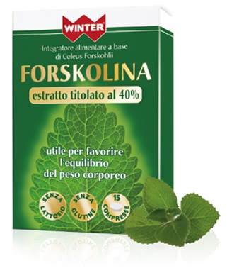 WINTER FORSKOLINA 15CPR
