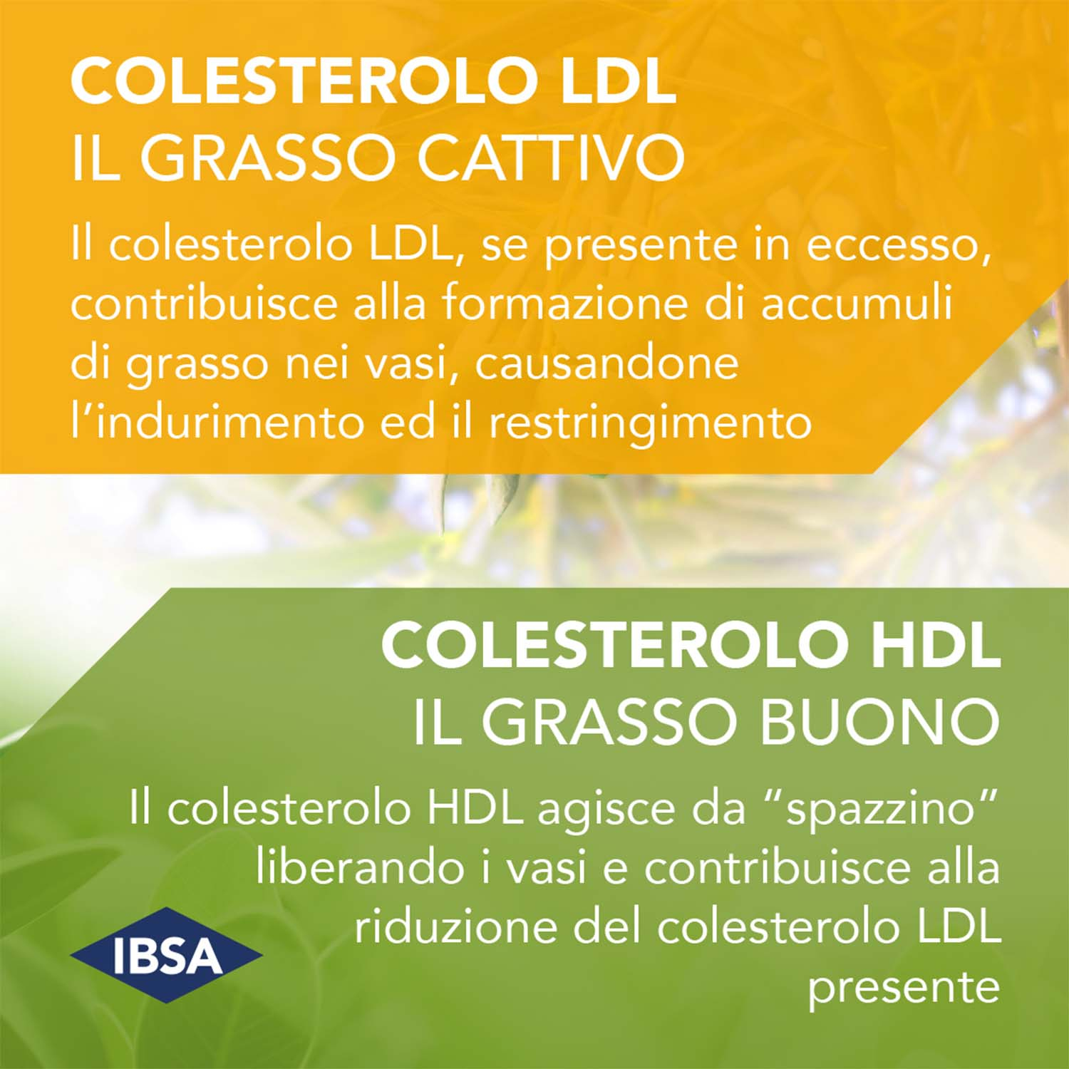 Colesia - Integratore Per il Colesterolo - 30 Capsule Molli