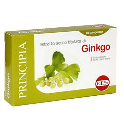 Ginkgo Biloba Estr Sec 60cpr