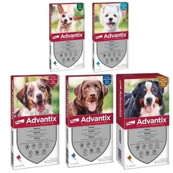 Advantix Spot On Cani PER CANI oltre i 4 Kg fino ai 10 Kg 6 Pipette Monodose