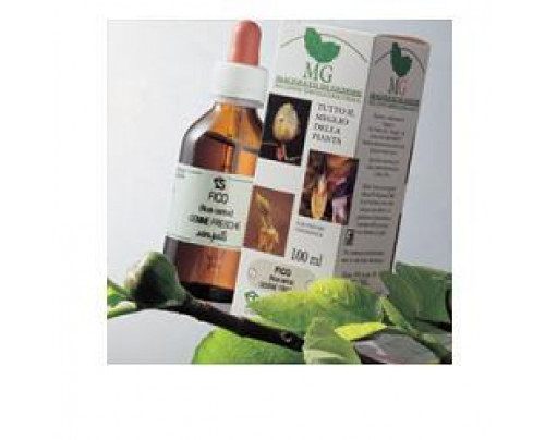 TIGLIO ARGENT 100ML MG