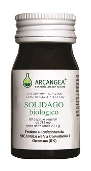 SOLIDAGO BIOLOGICO 385 MG