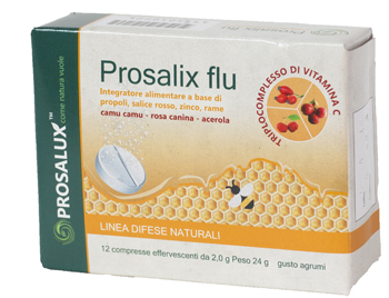 PROSALIX FLU 12CPR EFFERV