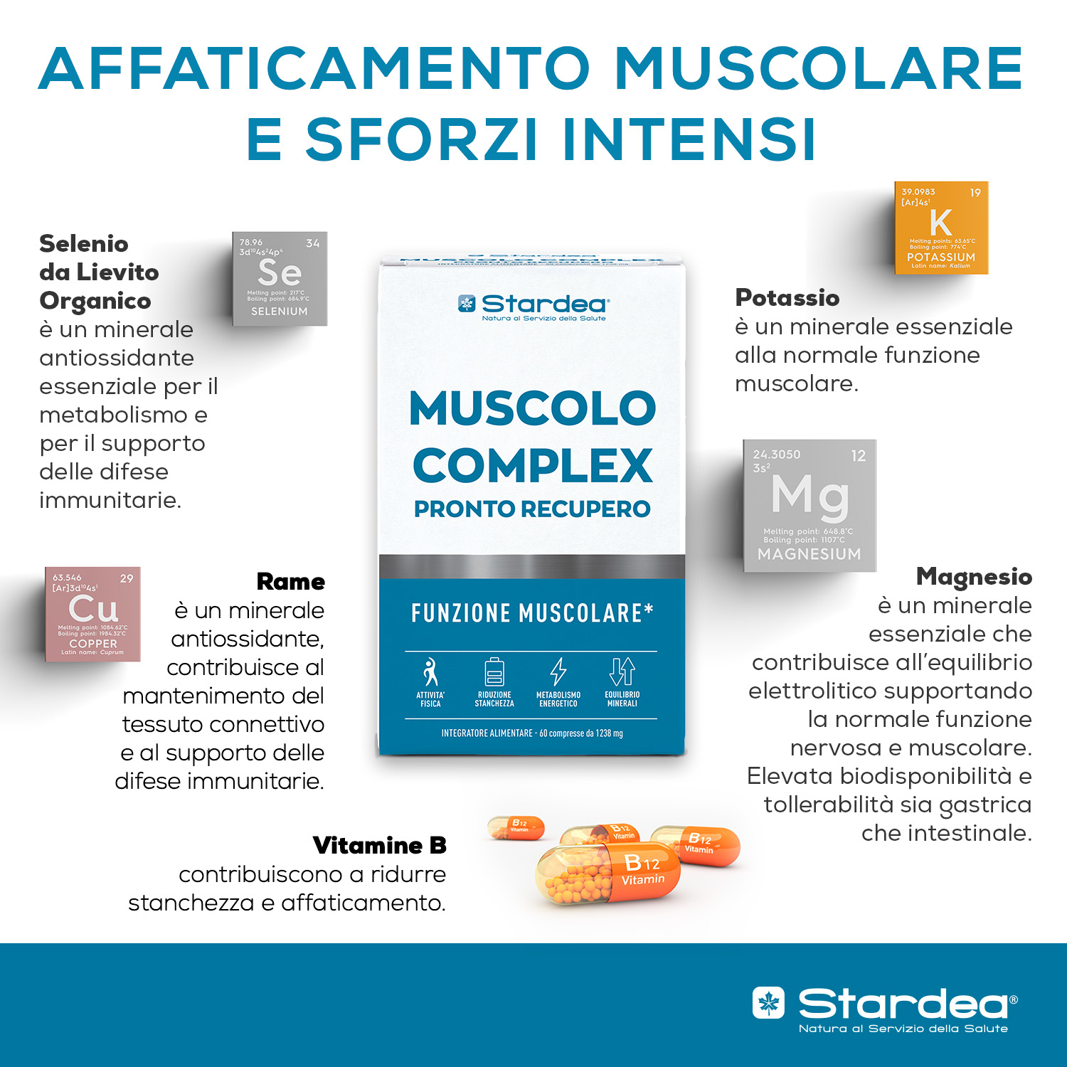STARDEA MUSCOLO COMPLEX PRONTO RECUPERO Compresse - integratore alimentare a base di Potassio, Magnesio, Rame e Selenio con Vitamine B6, B1 e B12.