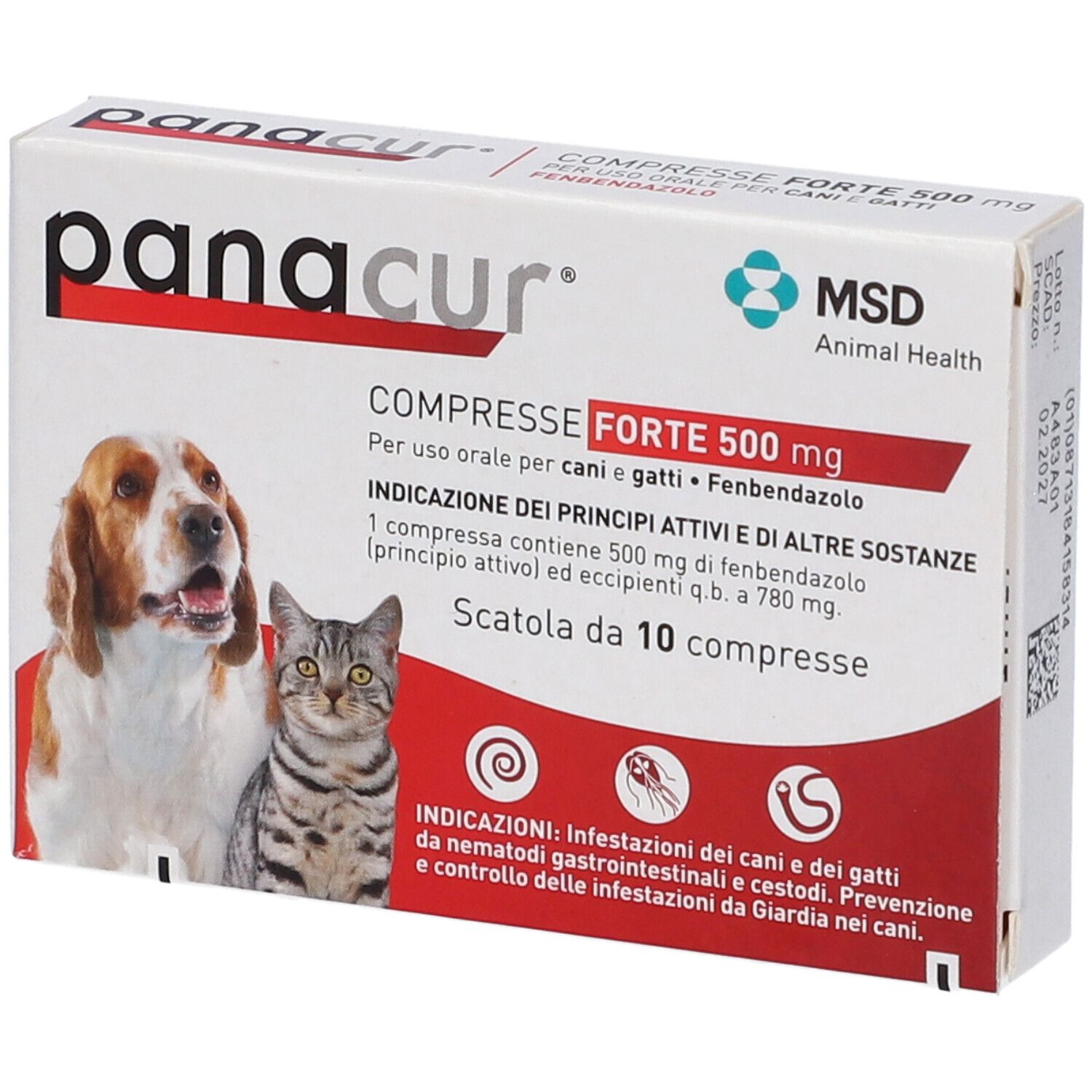 PANACUR FORTE 10CPR 500MG
