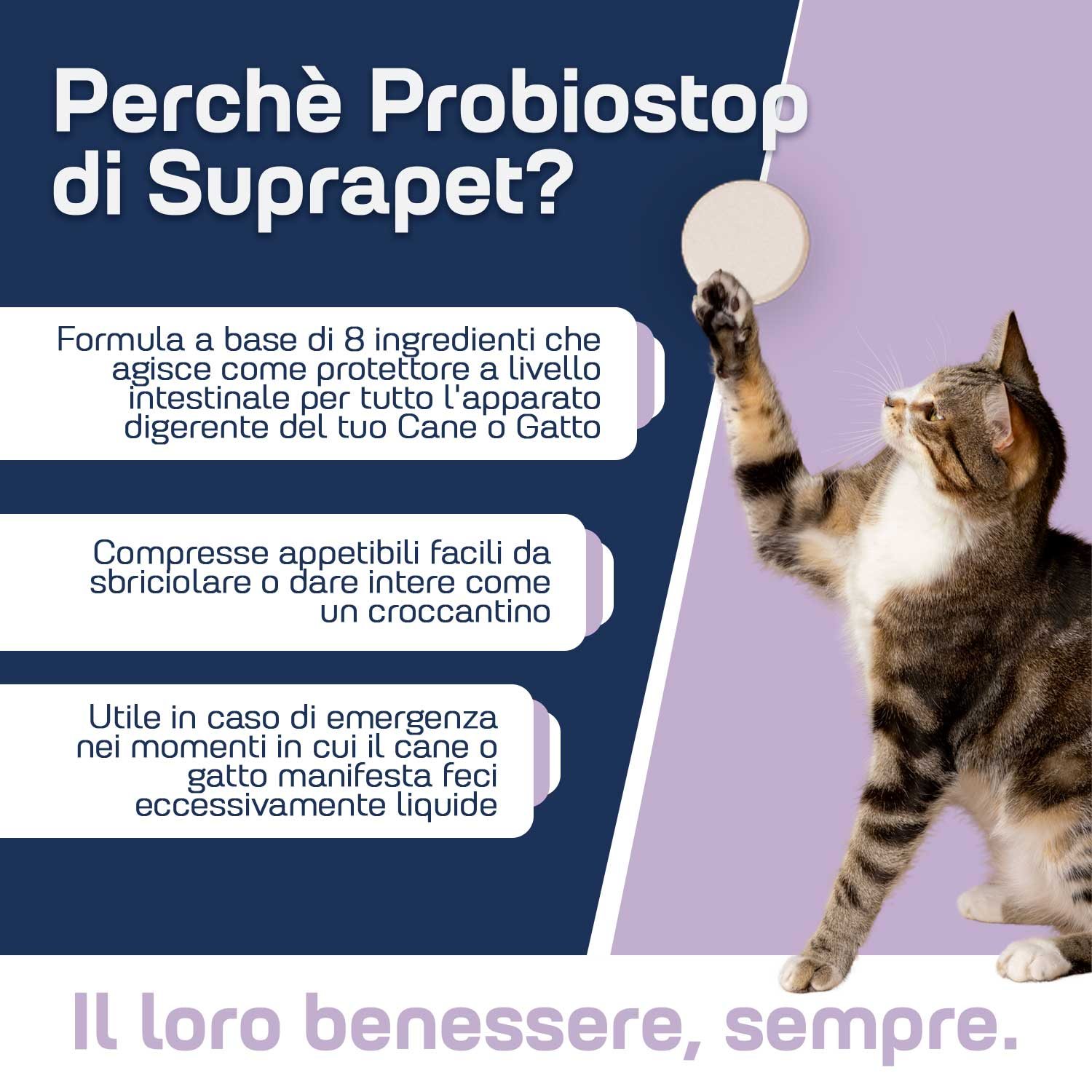 Suprapet probiostop 30 compresse