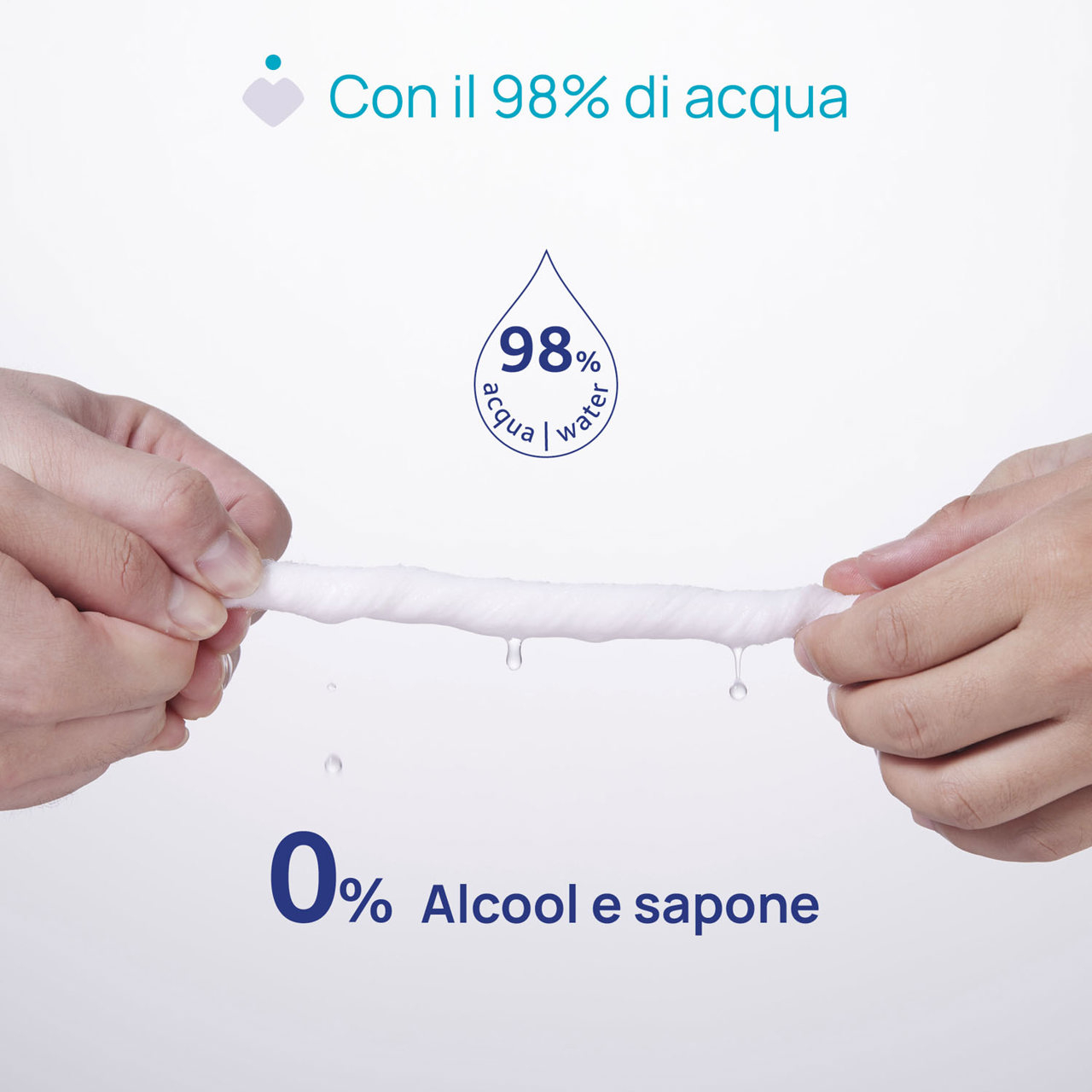 CH SALV DELICATE 72PZ PLAQ