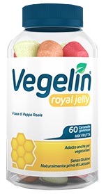 VEGELIN ROYAL JELLY 60CARAM GO