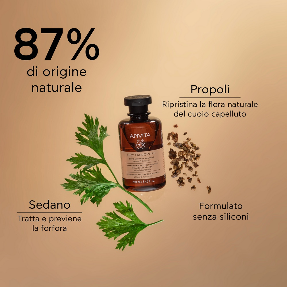 SH DRY SCALP CEL&PROP 250ML/19