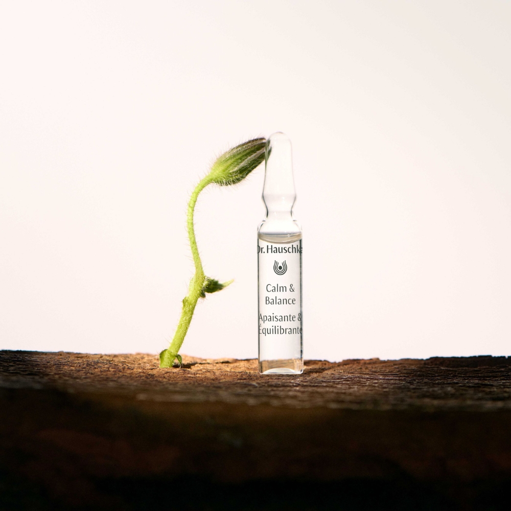 Dr. Hauschka - Calm And Balance Ampoules 7 Fiale Da 2 ml - Trattamento Anti-Rossore Viso