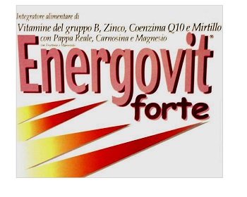 ENERGOVIT FORTE 10FL