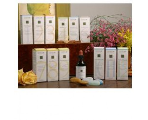 ZEF05 CISTO PLANT STV