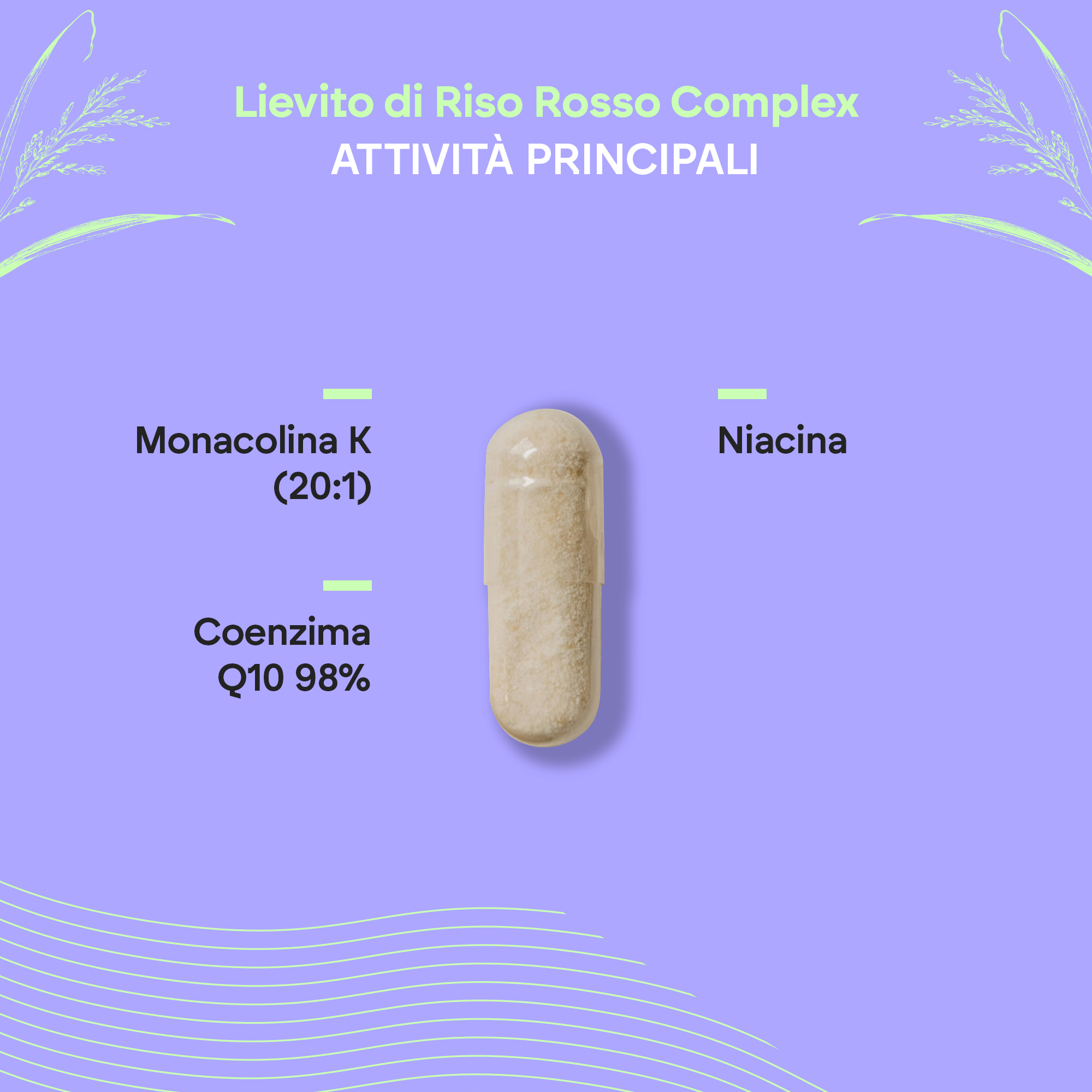 Nutralie Lievito Di Riso Rosso Complex 90 Capsule - Integratore Per Il Colesterolo