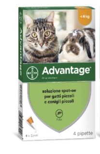 ADVANTAGE 4 pipette 0,4ML SPOT ON GATTI e CONIGLI  Inferiori a 4 kg