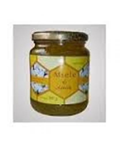 Amoreal Miele Di Acacia Disintossicante Fegato 50 g