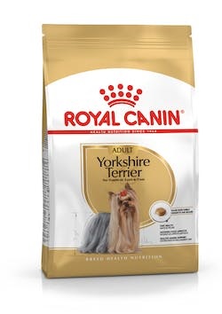 BHN YORKSHIRE TERRIER AD 1,5KG